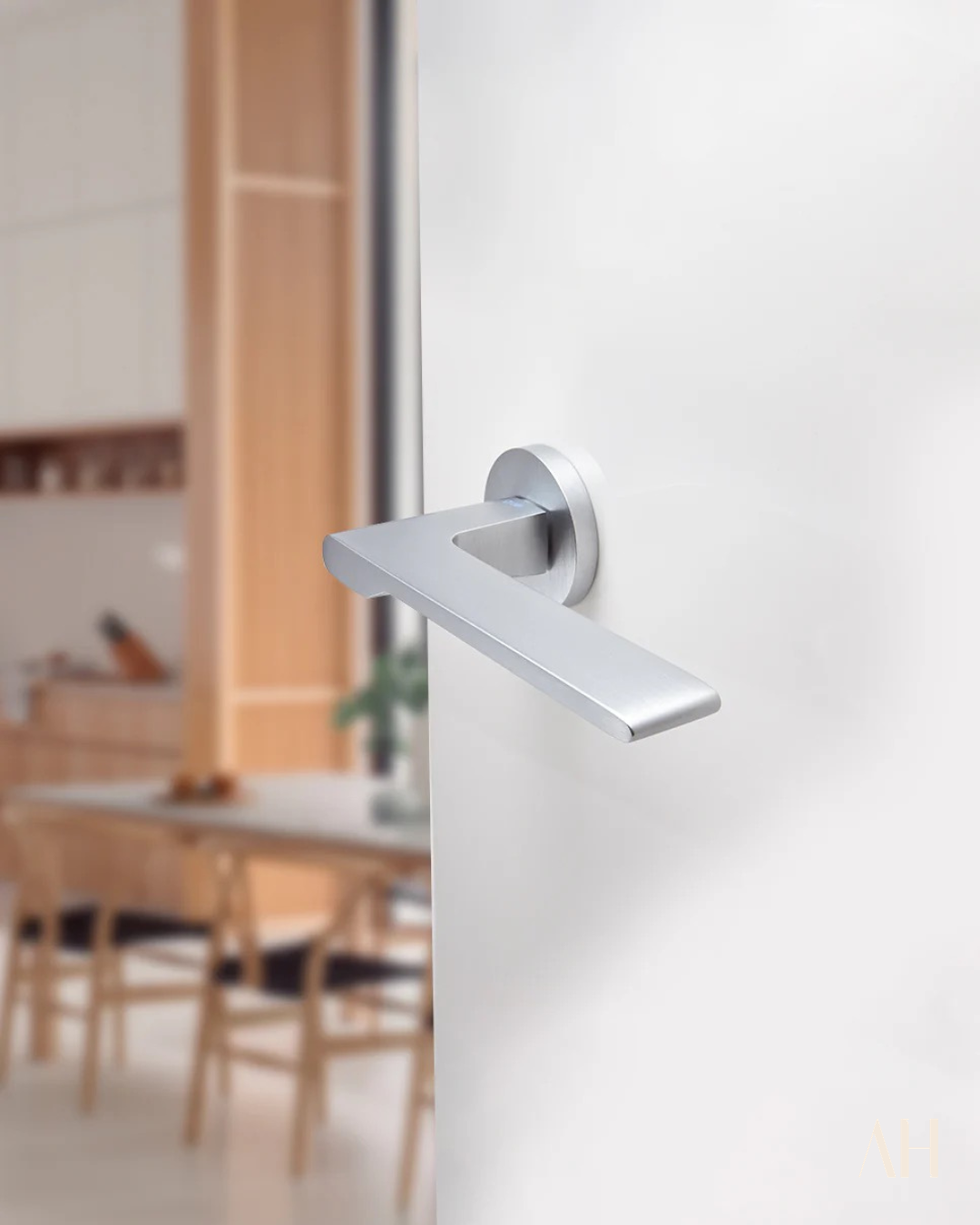 Special Door Handle