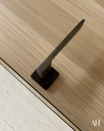 Special Door Handle